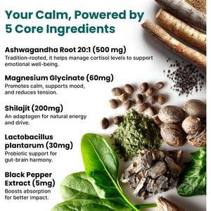 5-In-1 Cortisol Supplement for Women and Men with Ashwagandha for Calmness, Focus, and Adrenal Support Supplements with Shilajit Extract, Magnesium Glycinate, Probiotics (120 Ct) (Pack of 1)